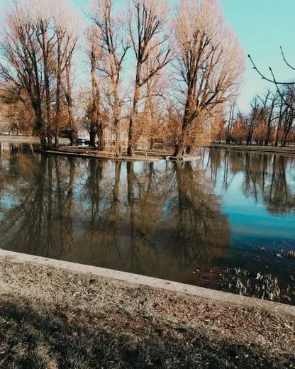 Park Miejski