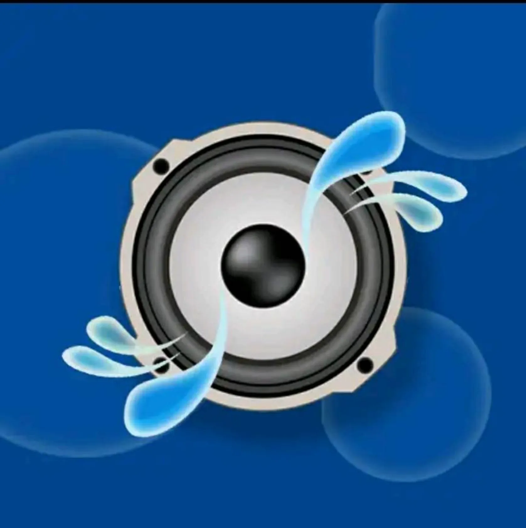 Speaker cleaner