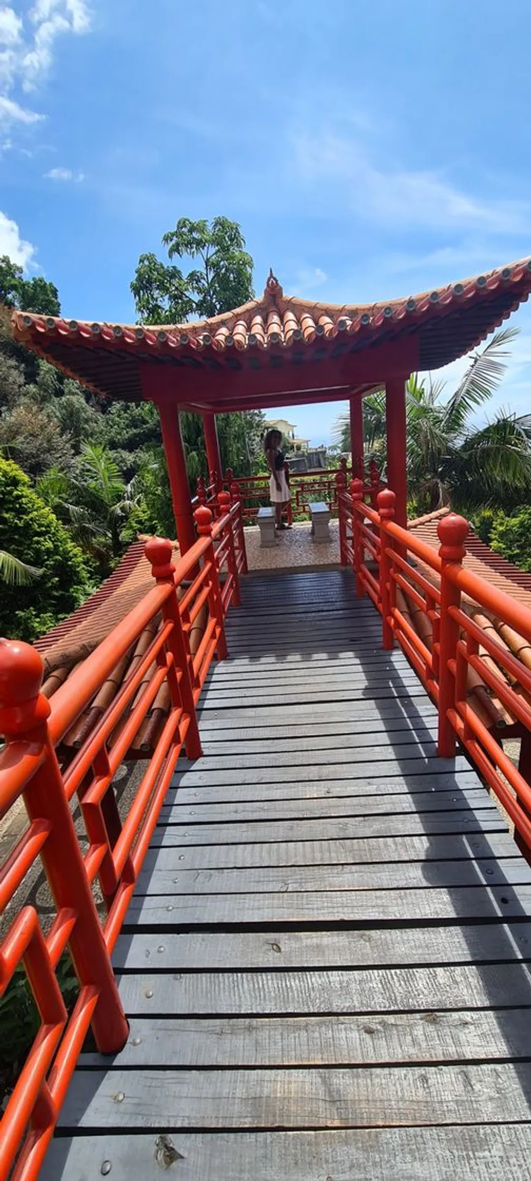 Jardim Tropical de Monte