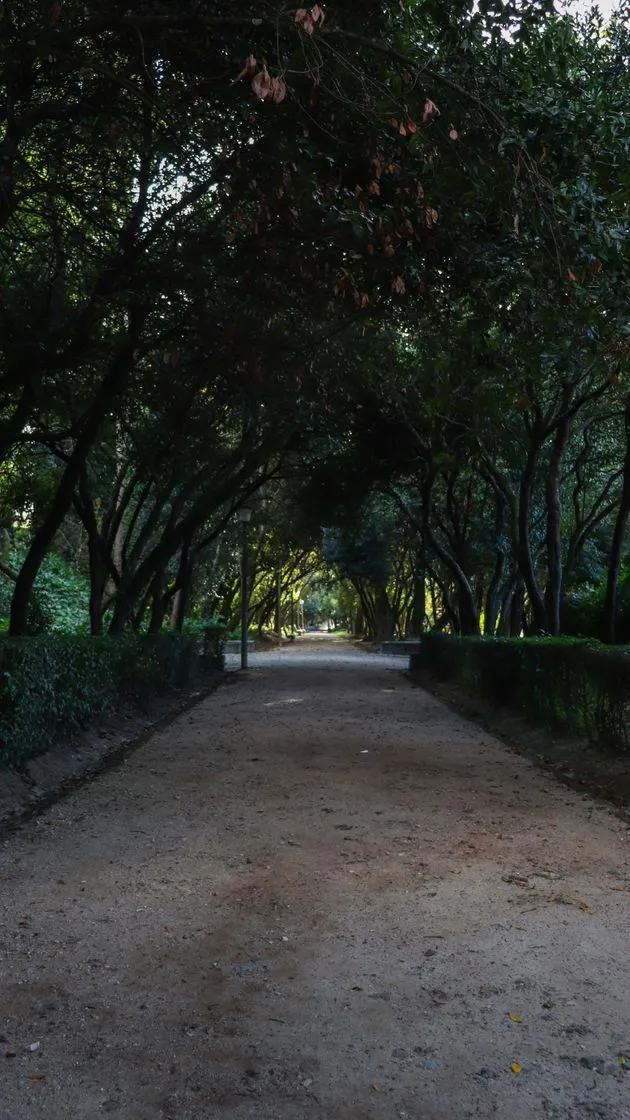 Jardim da Sereia
