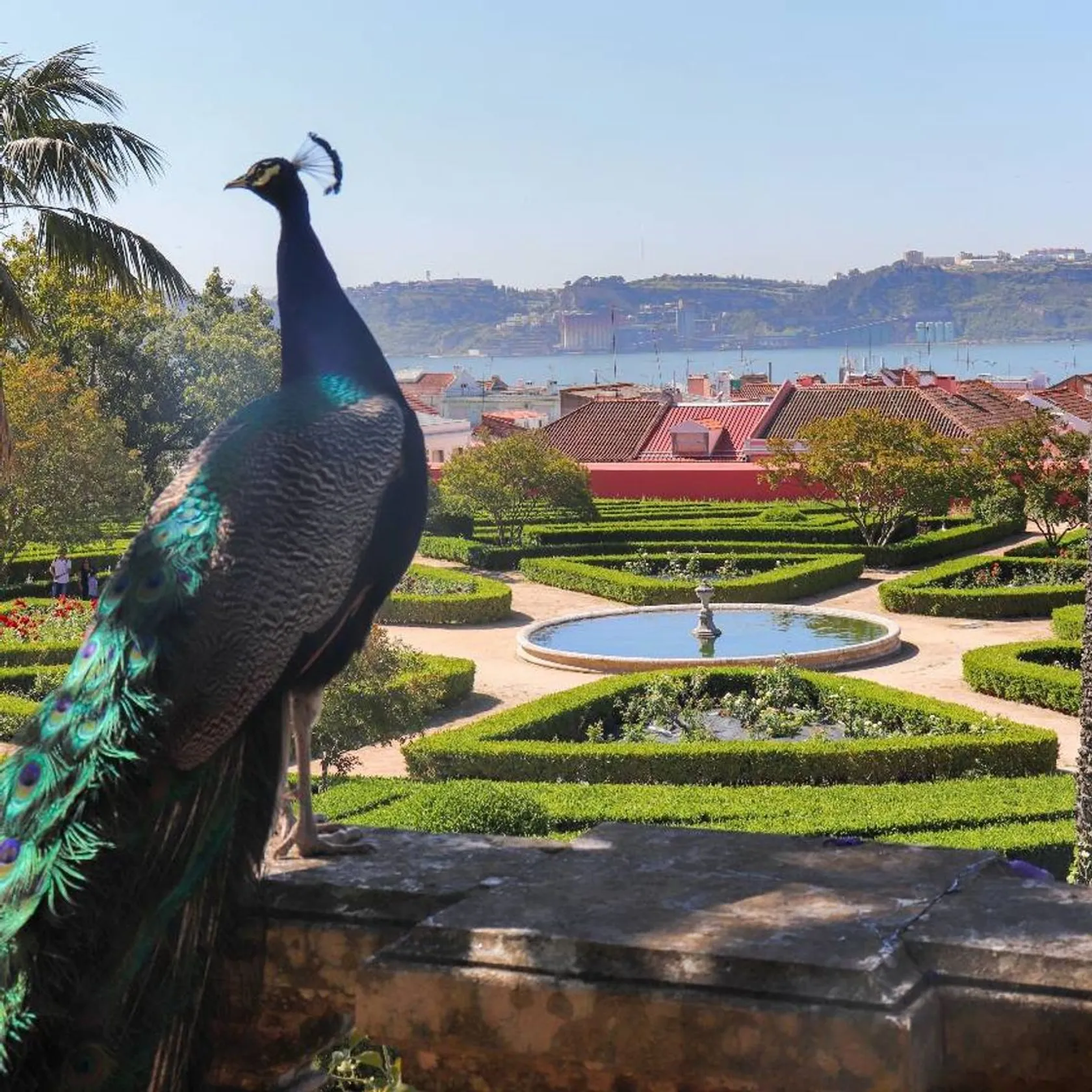 Jardim Botânico d'Ajuda