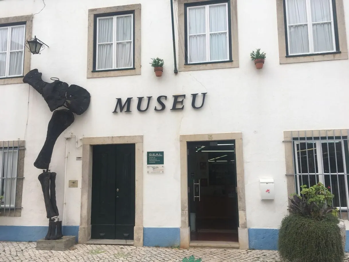 Museu da Lourinhã