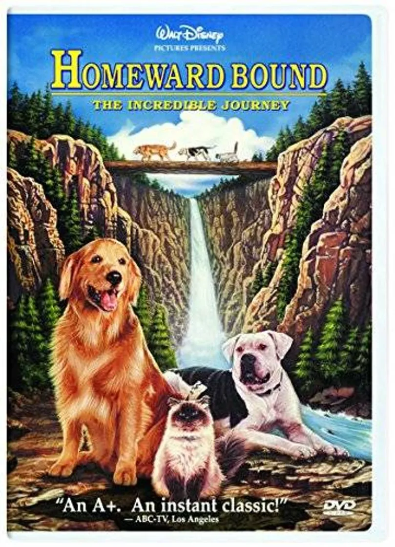 A Incrível Jornada - homeward bound