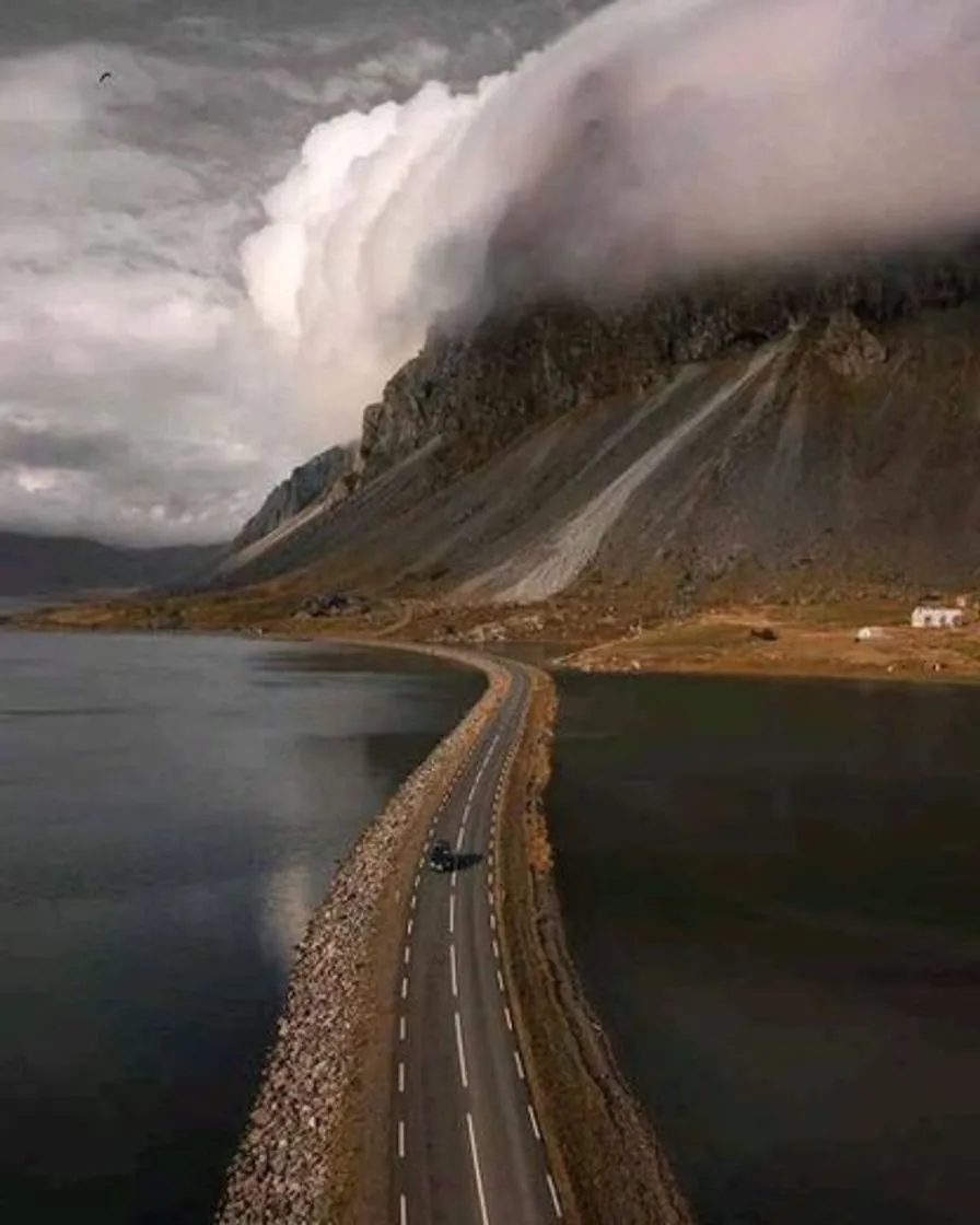 Höfn