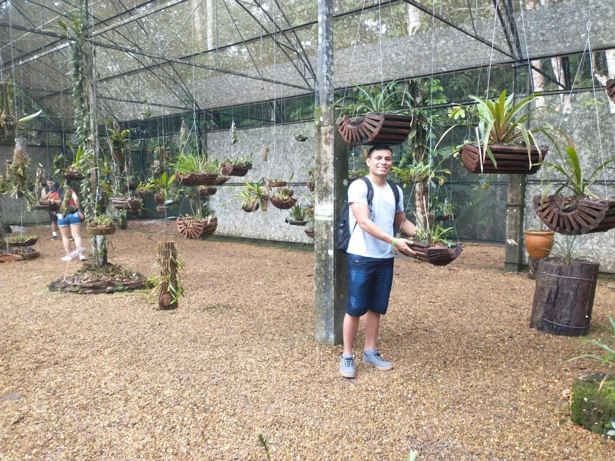 MUSA Museu da Amazônia