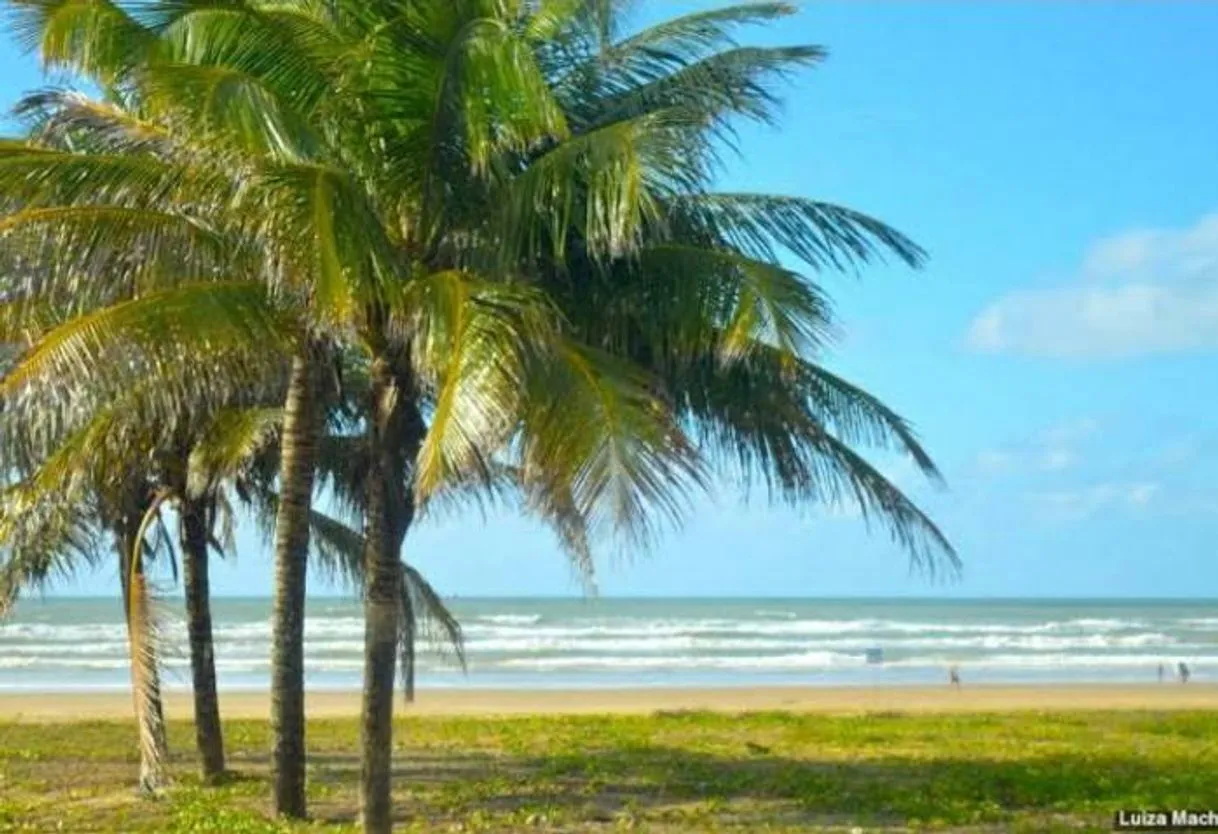 Aruana