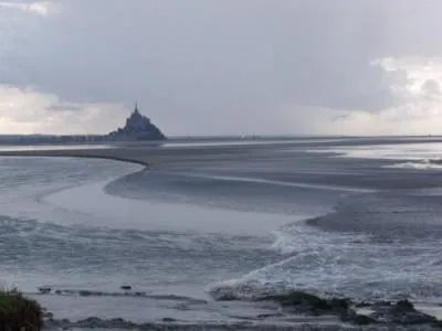 Genêts