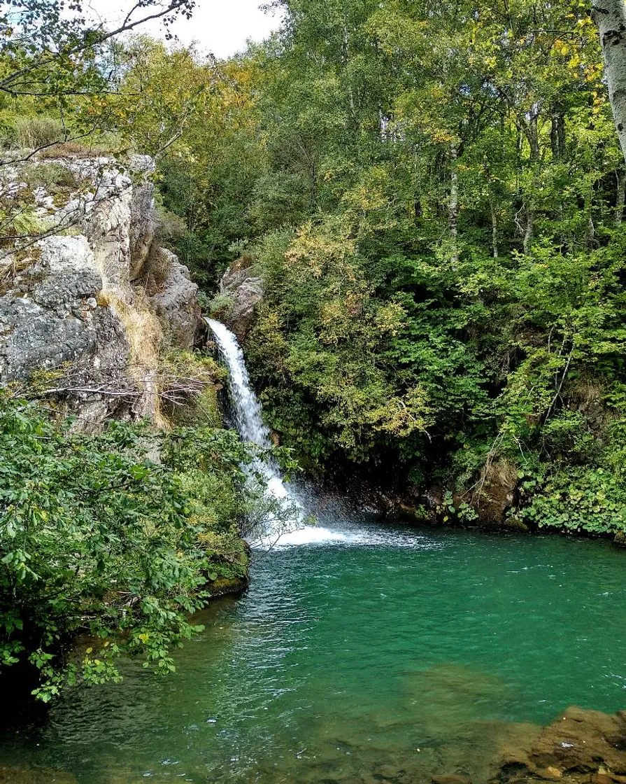 Cascadas de los Forfogones
