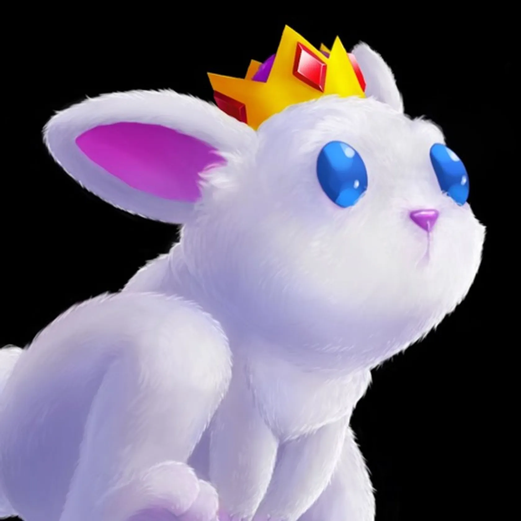 King Rabbit