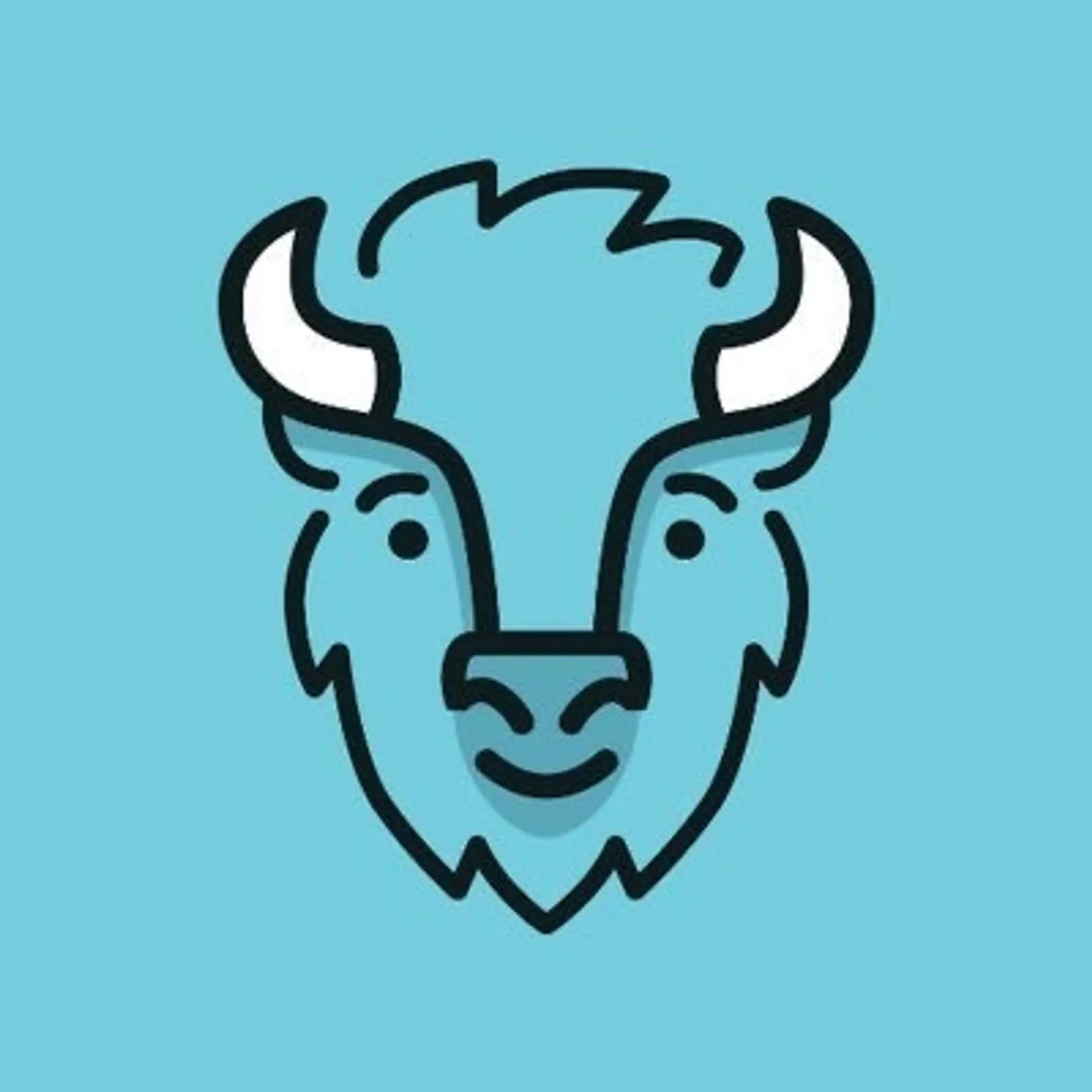 Bison