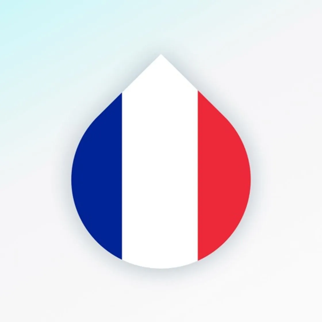 Learn French language - Drops