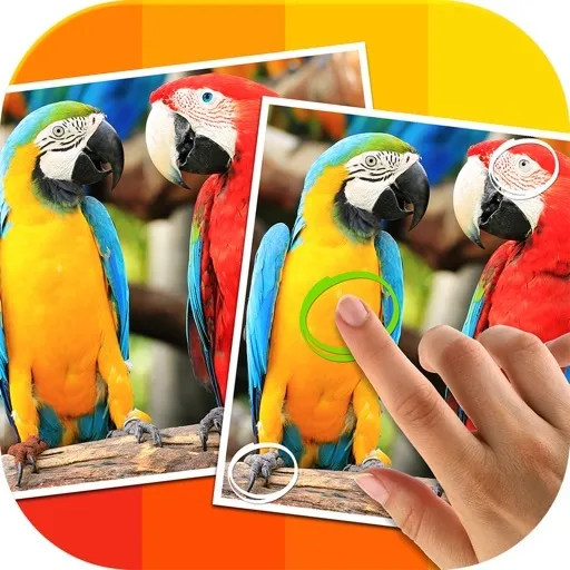 Tap 5 Differences - Español