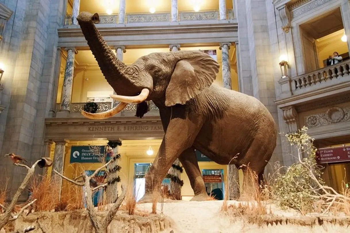Museo Nacional de Historia Natural del Instituto Smithsoniano