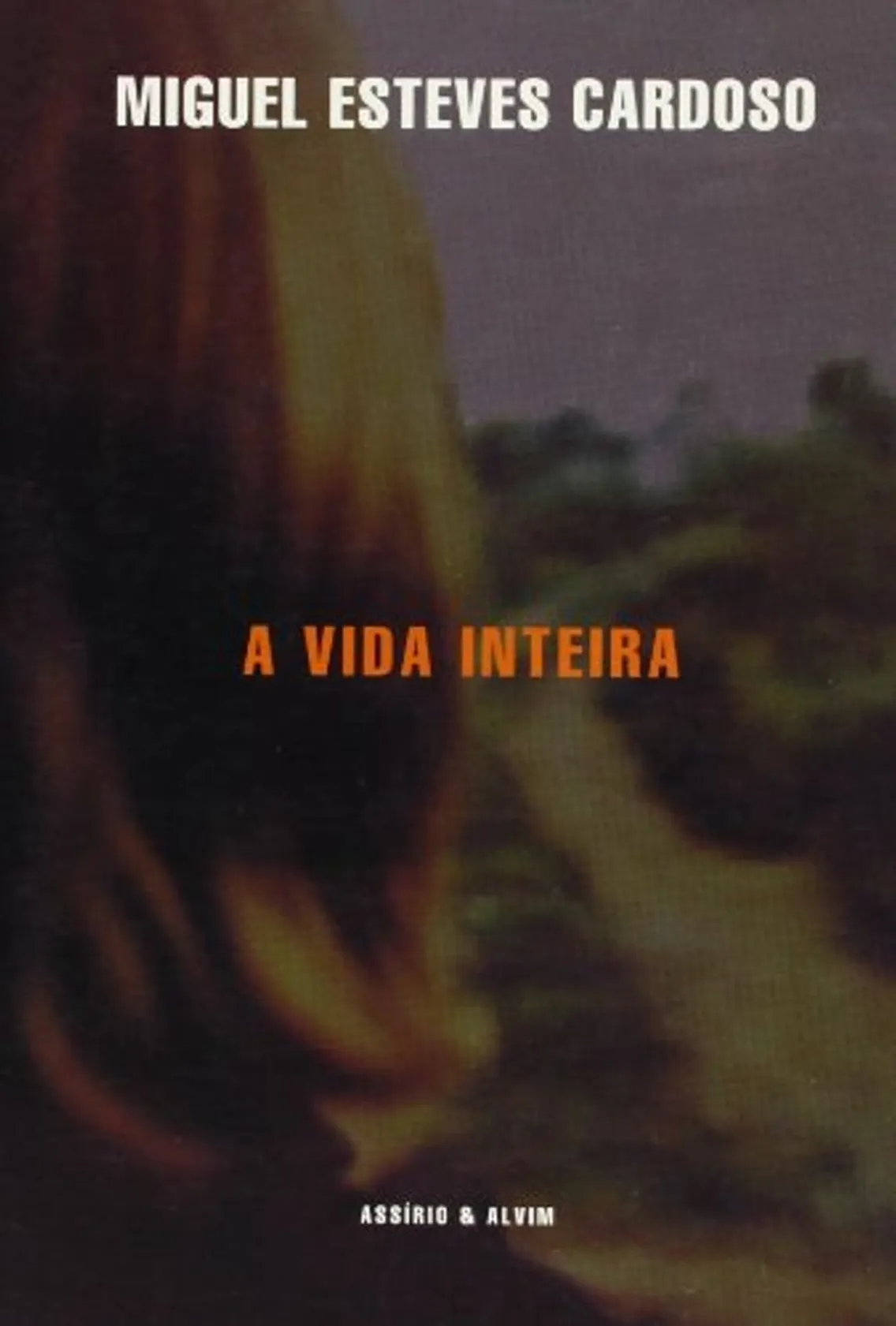 A vida inteira