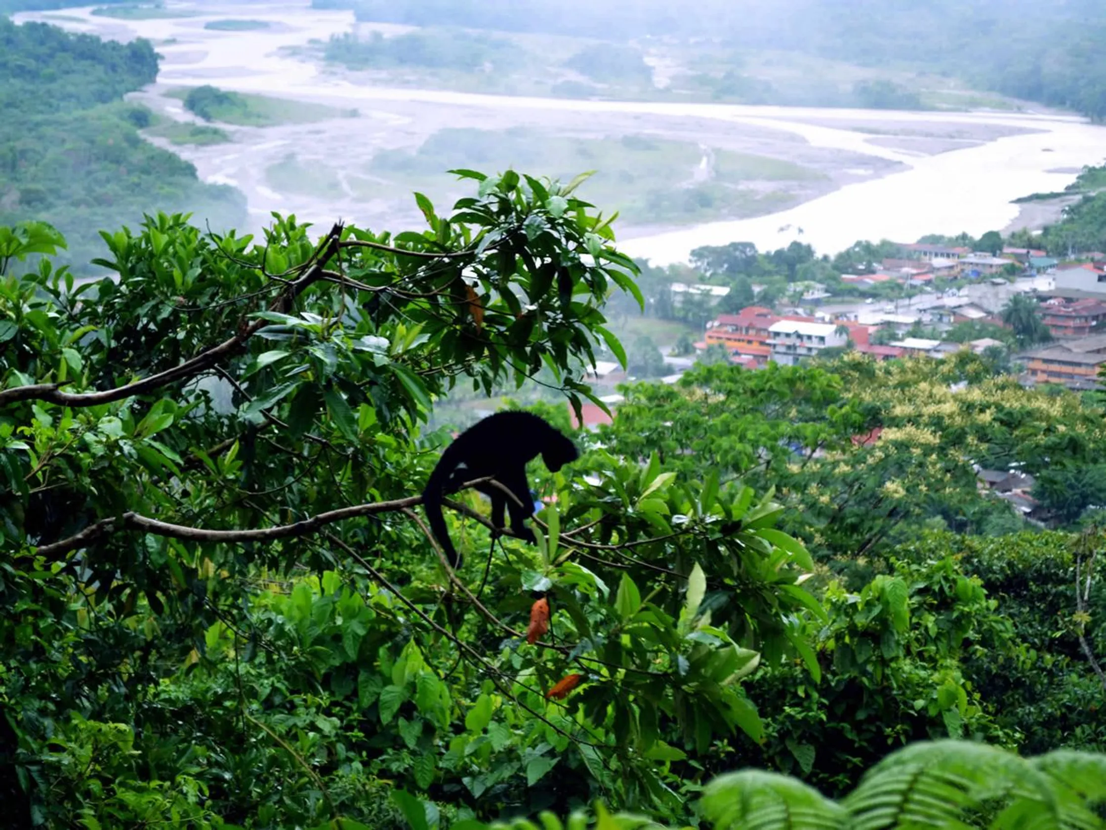 Parque Machia