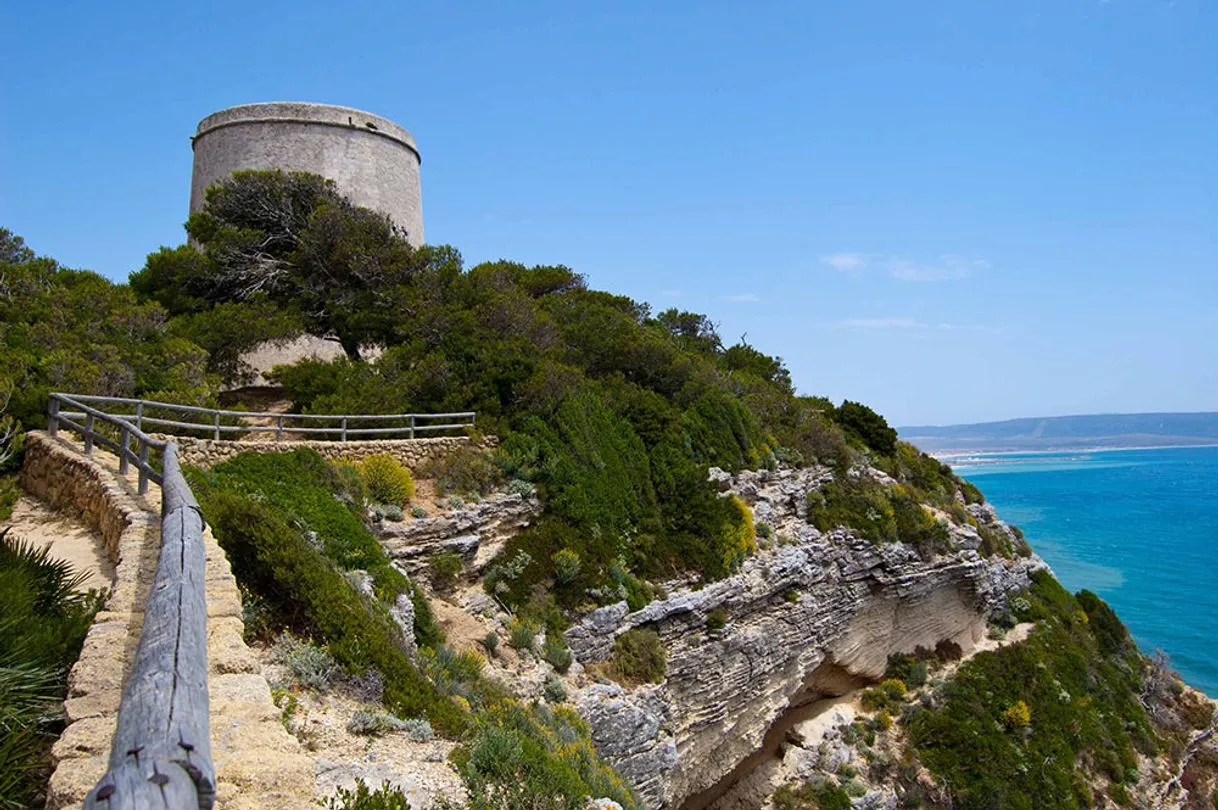 Barbate