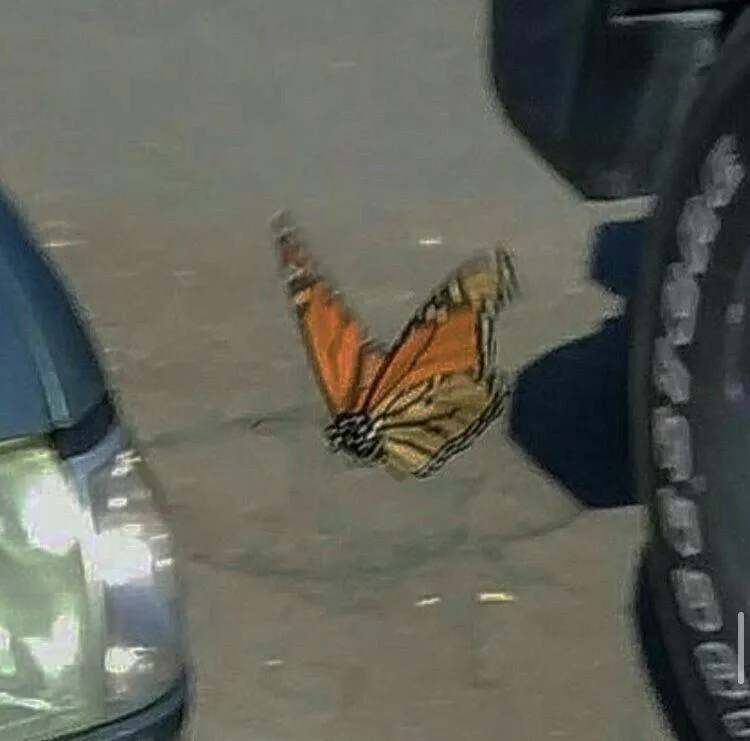 Imagina viaja sem sair do lugar só com uma música 💫