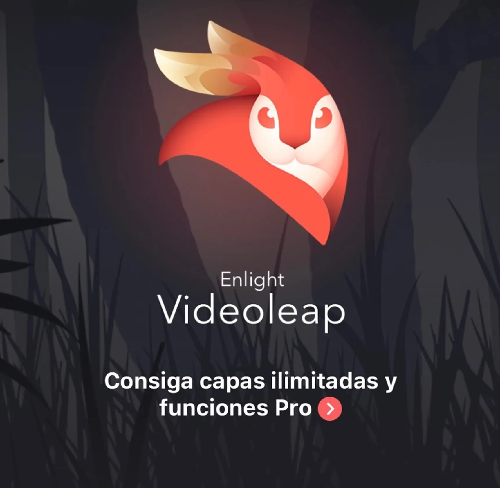 Videoleap