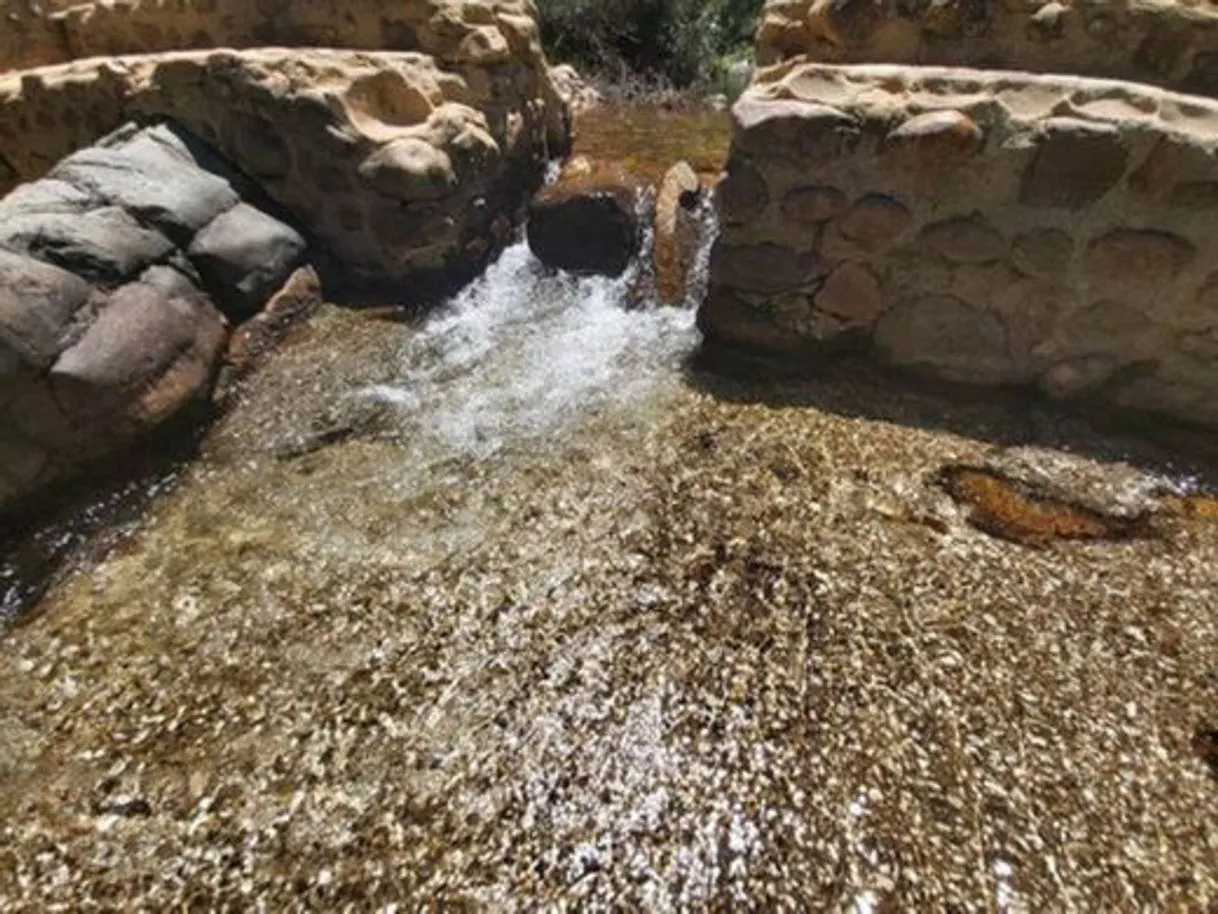 Termas de Águas - Penamacor