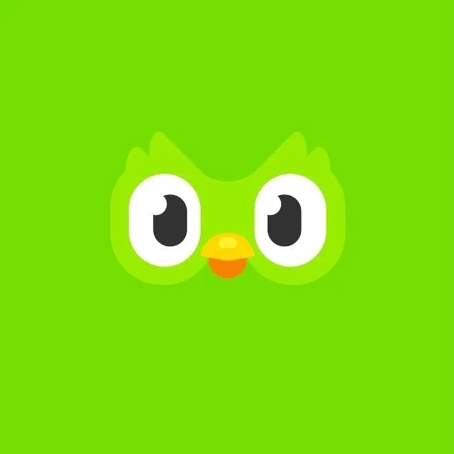Duolingo- Language Lessons 💚