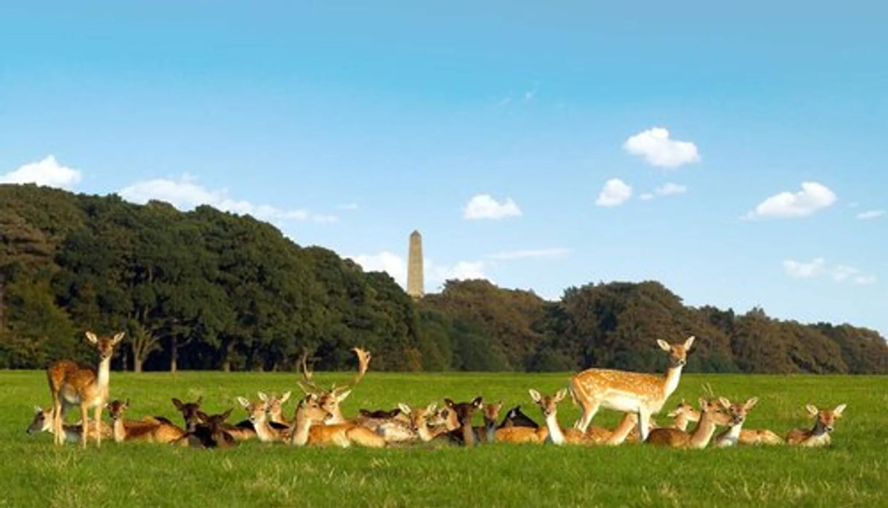 Phoenix Park