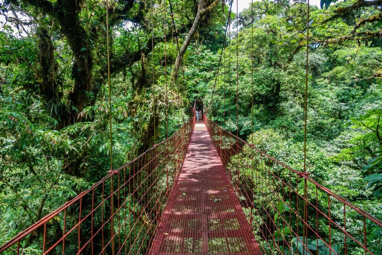 Monteverde