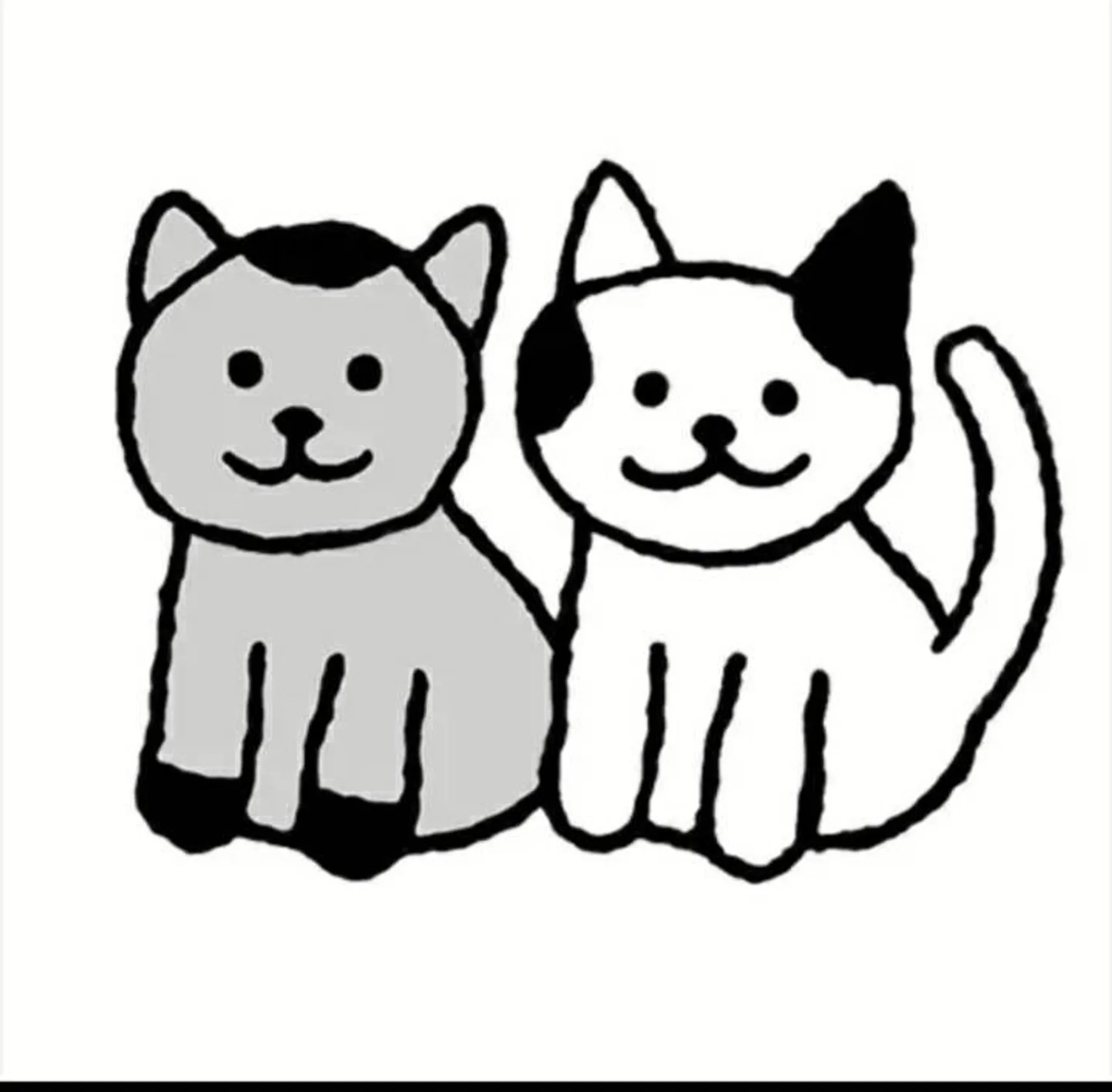 Cats are cute ♡