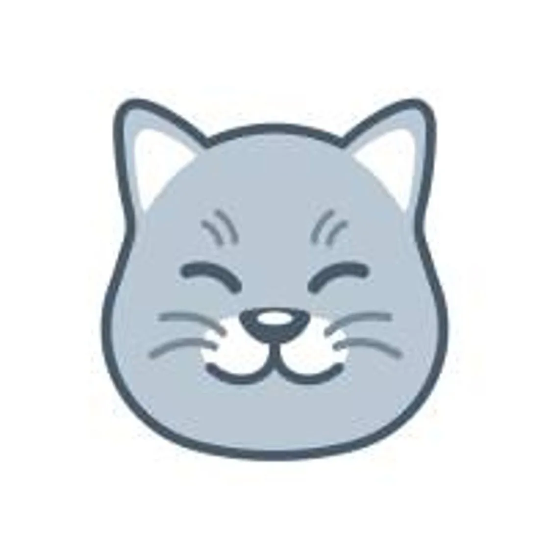 Curious Cat