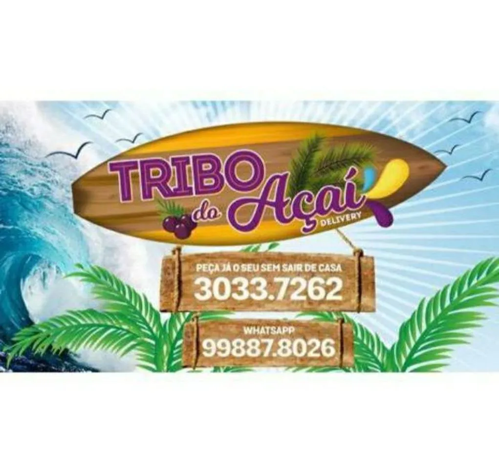 Tribo do Açaí