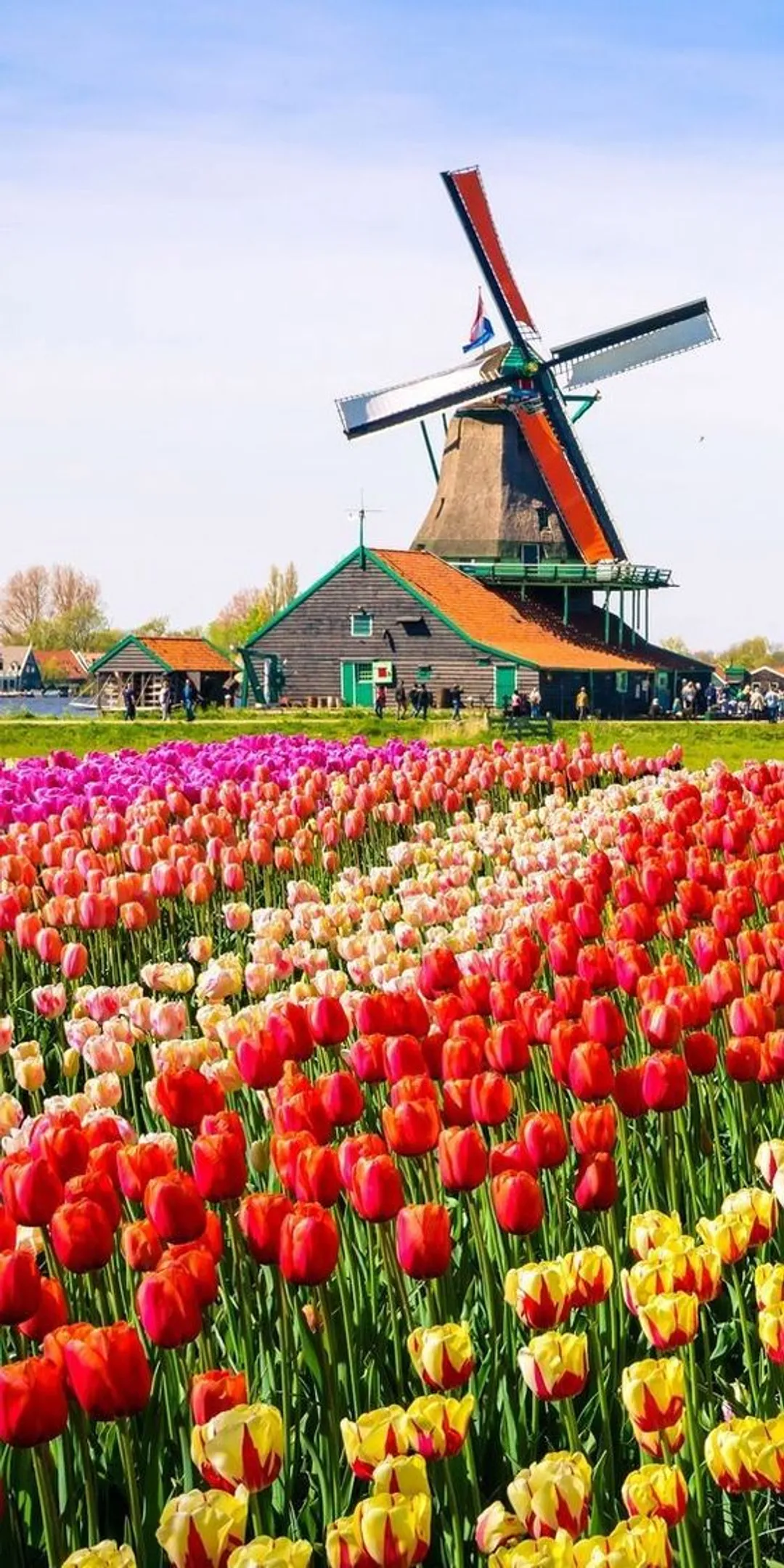 Holanda