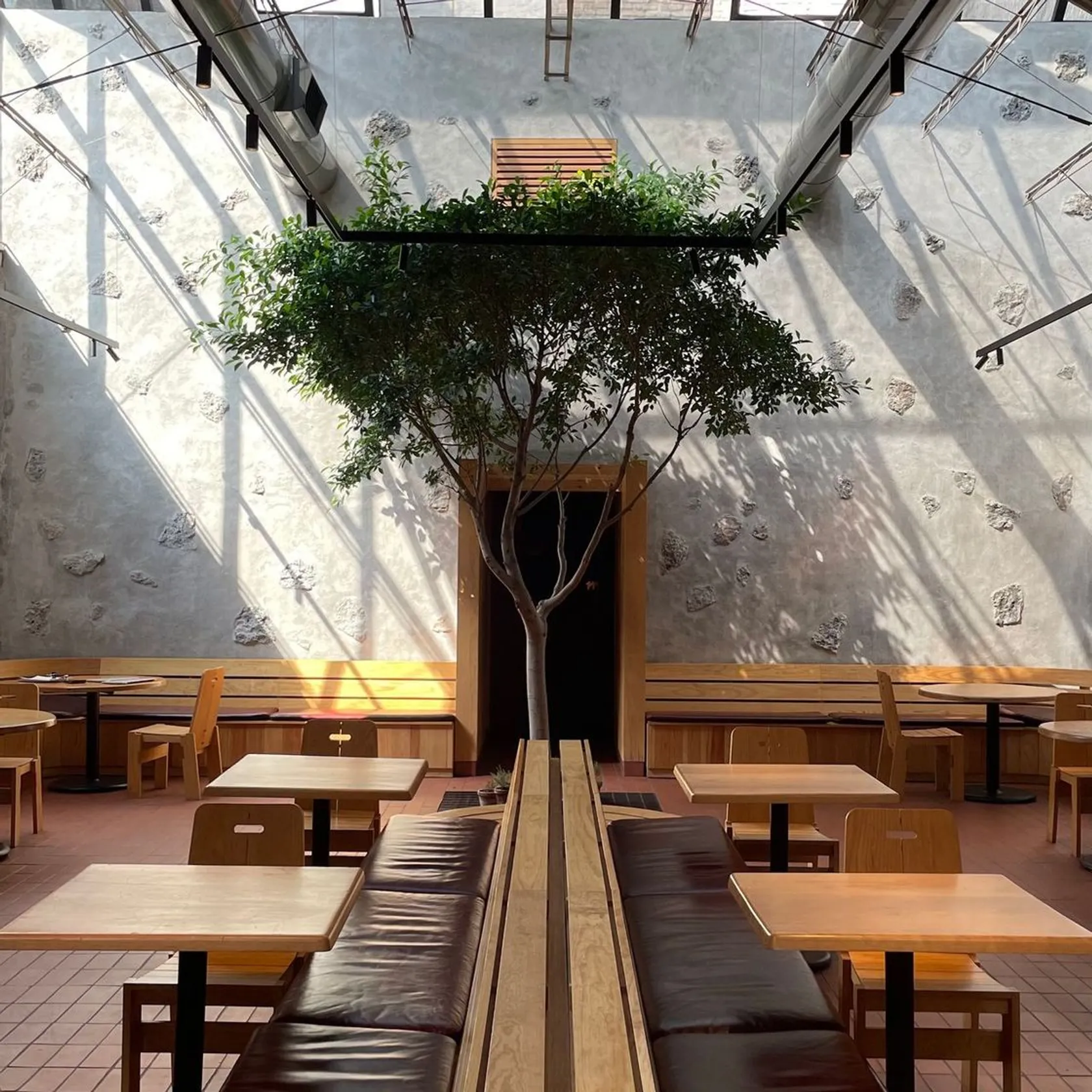Maximo Bistrot