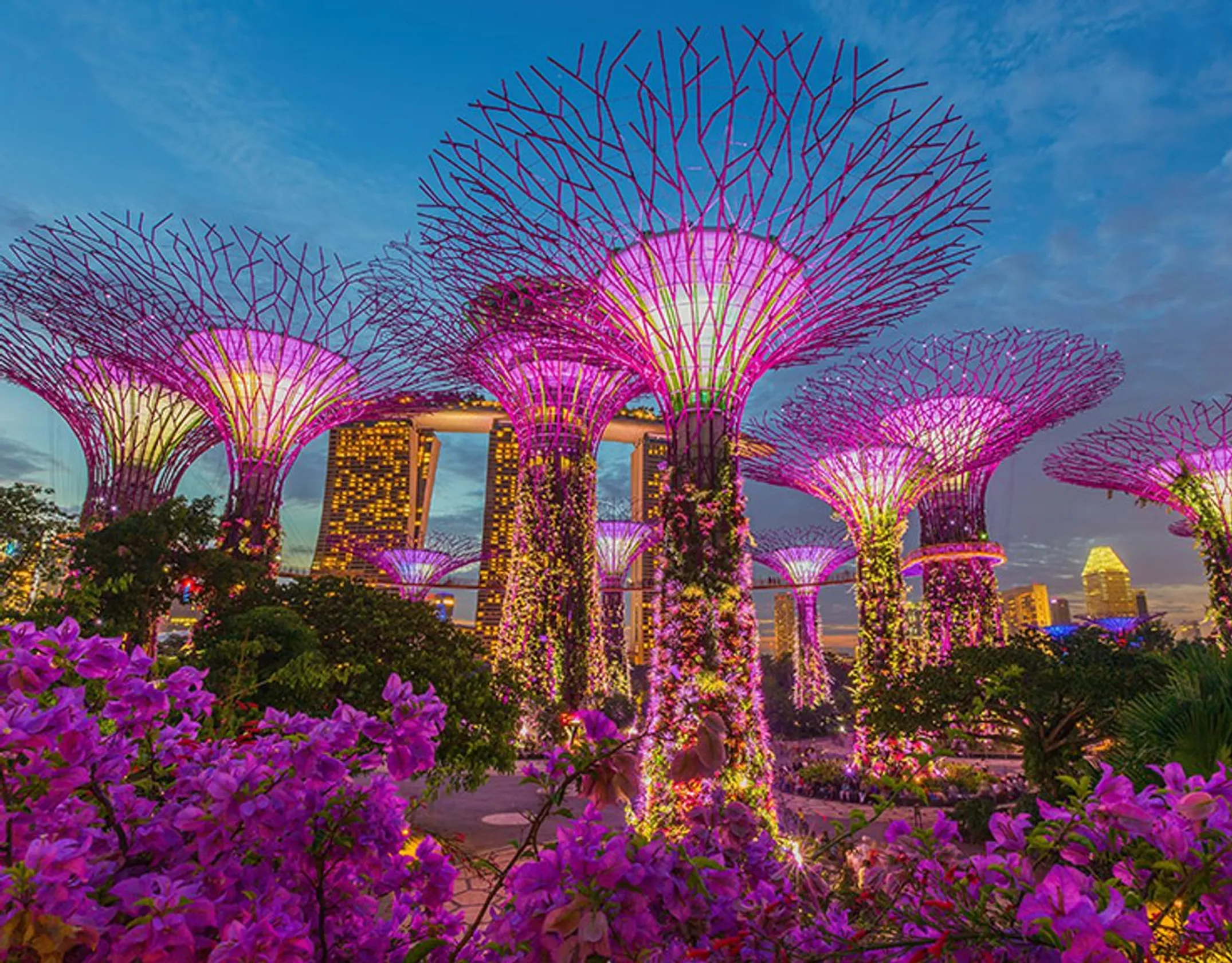 Gardens by the Bay