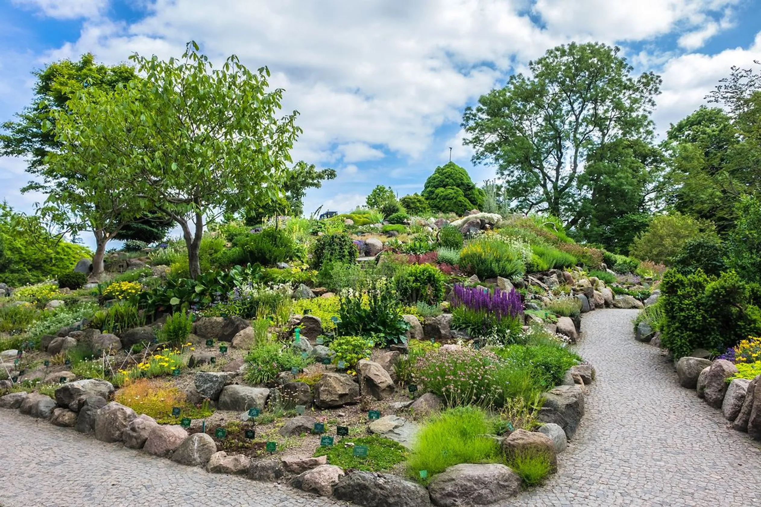 Botanisk Have