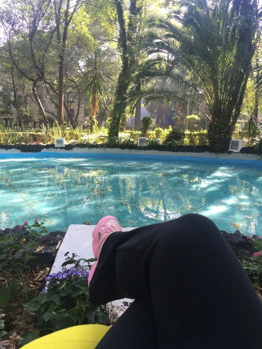 Parque México