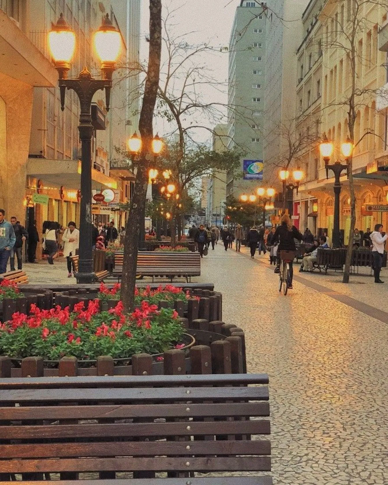 Rua XV de Novembro