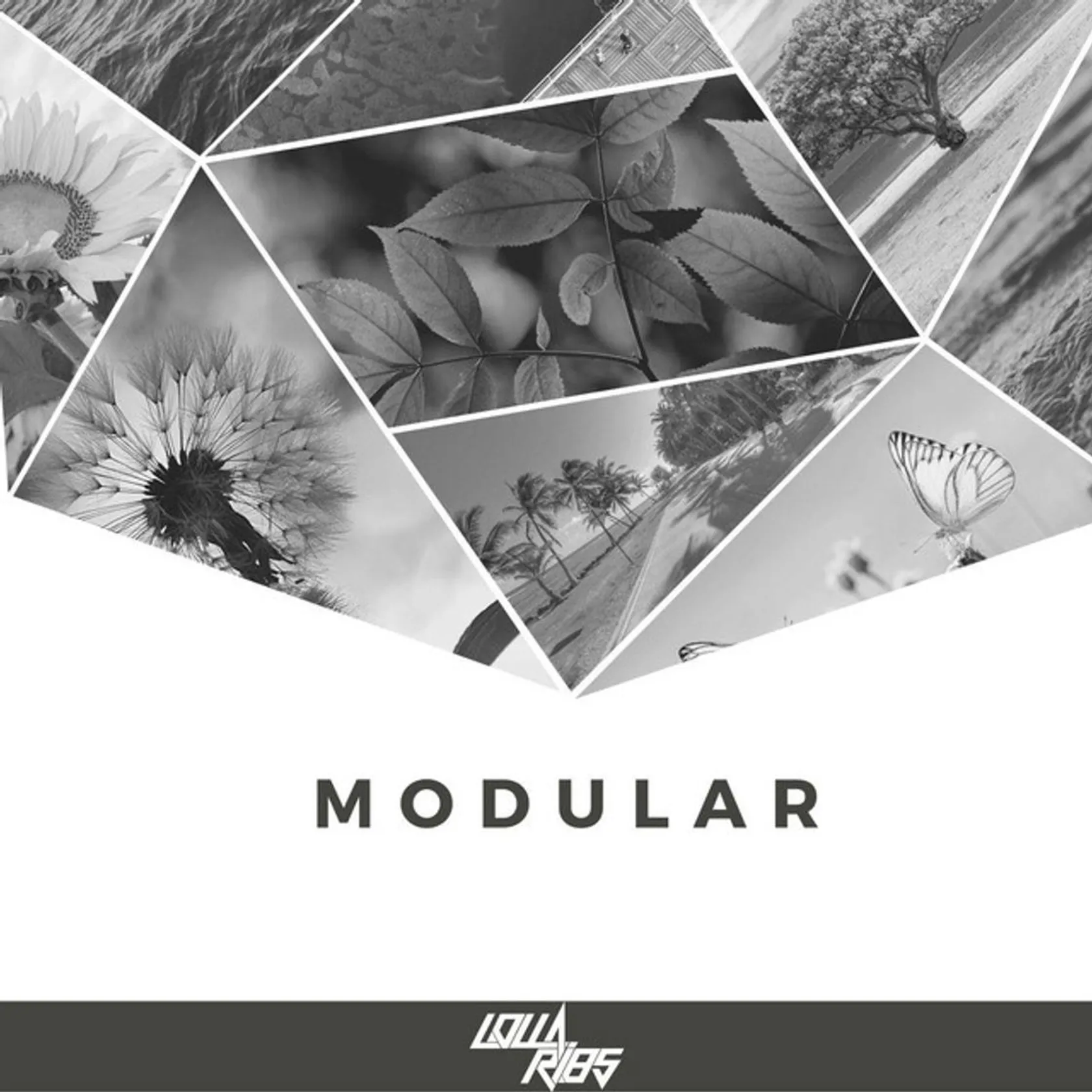 Modular
