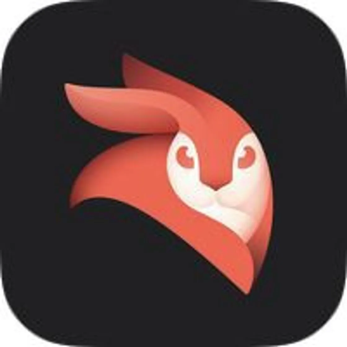 Videoleap