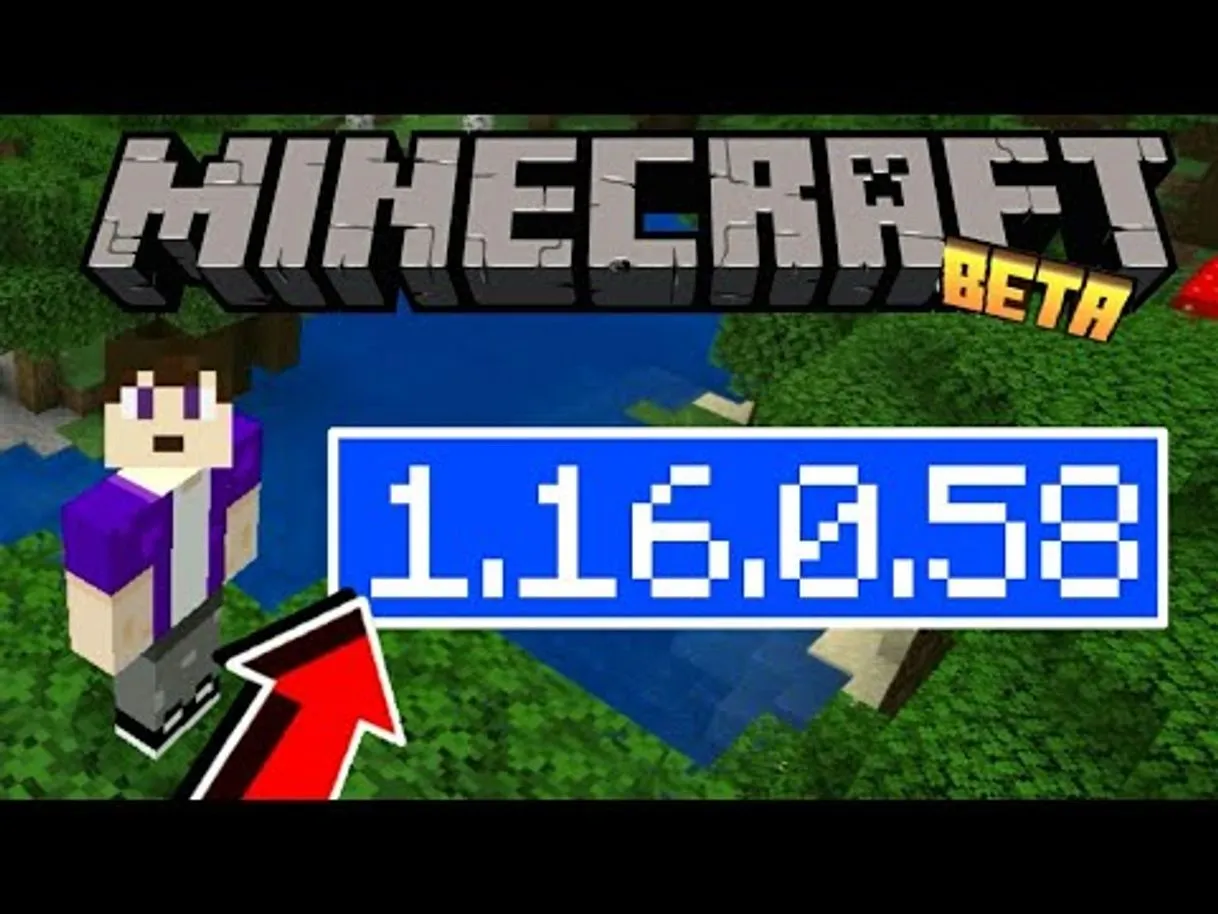 Minecraft 1.16.58