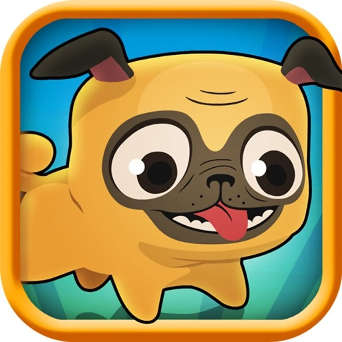 Pug Run