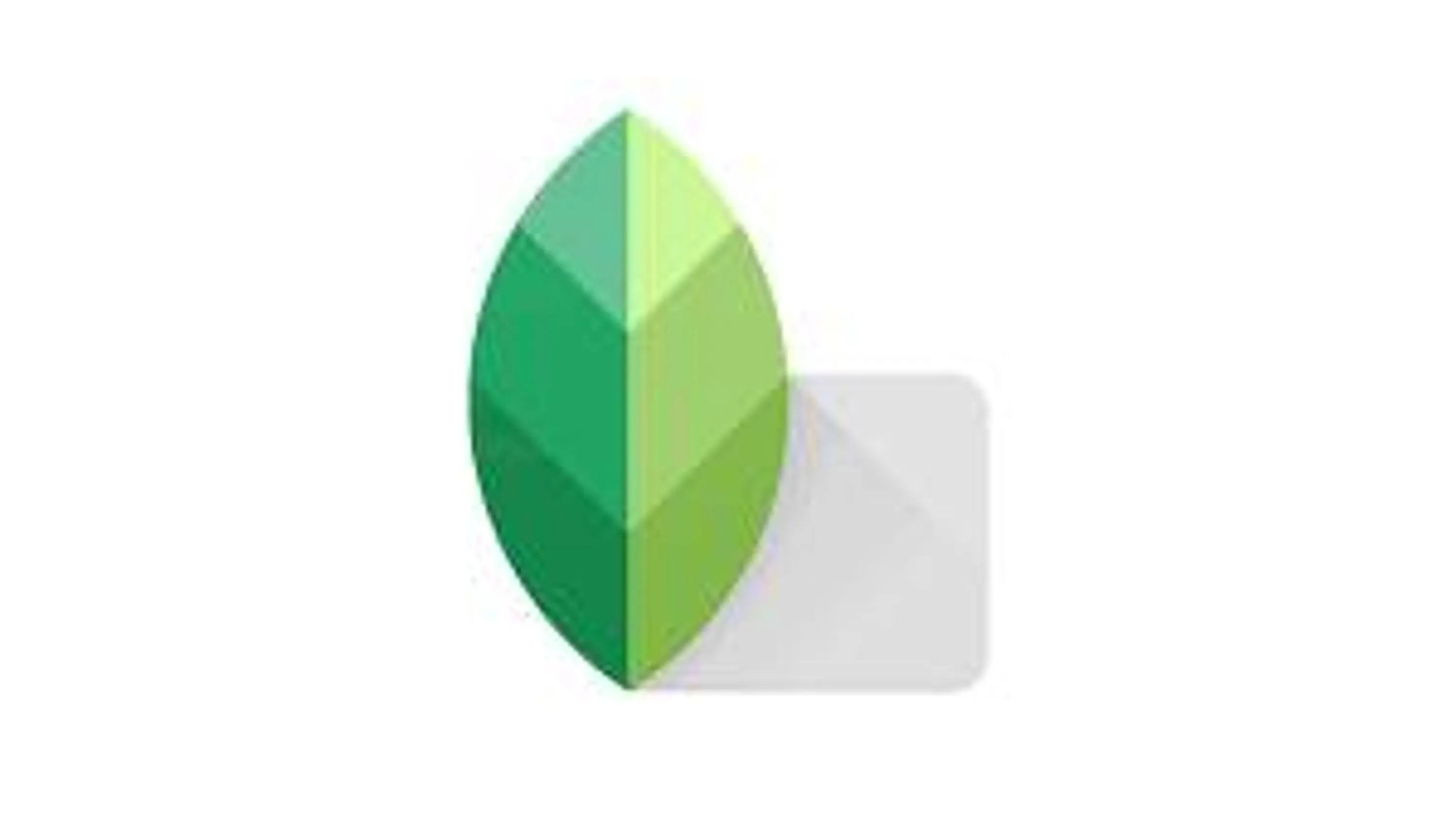 SNAPSEED Editor