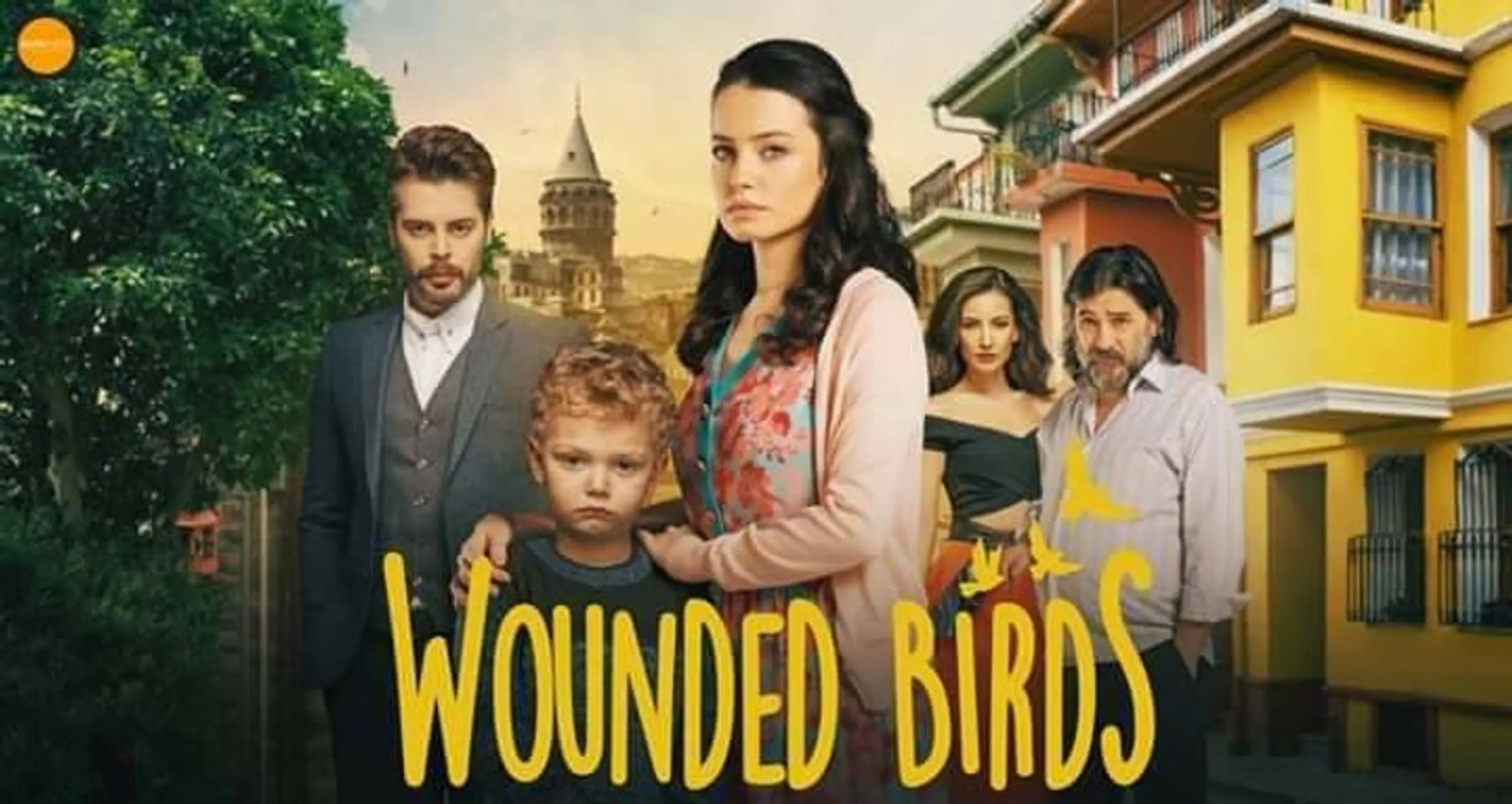 Wounded Birds