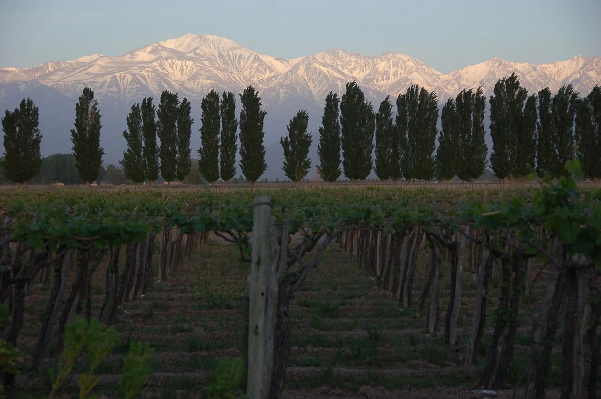 Mendoza