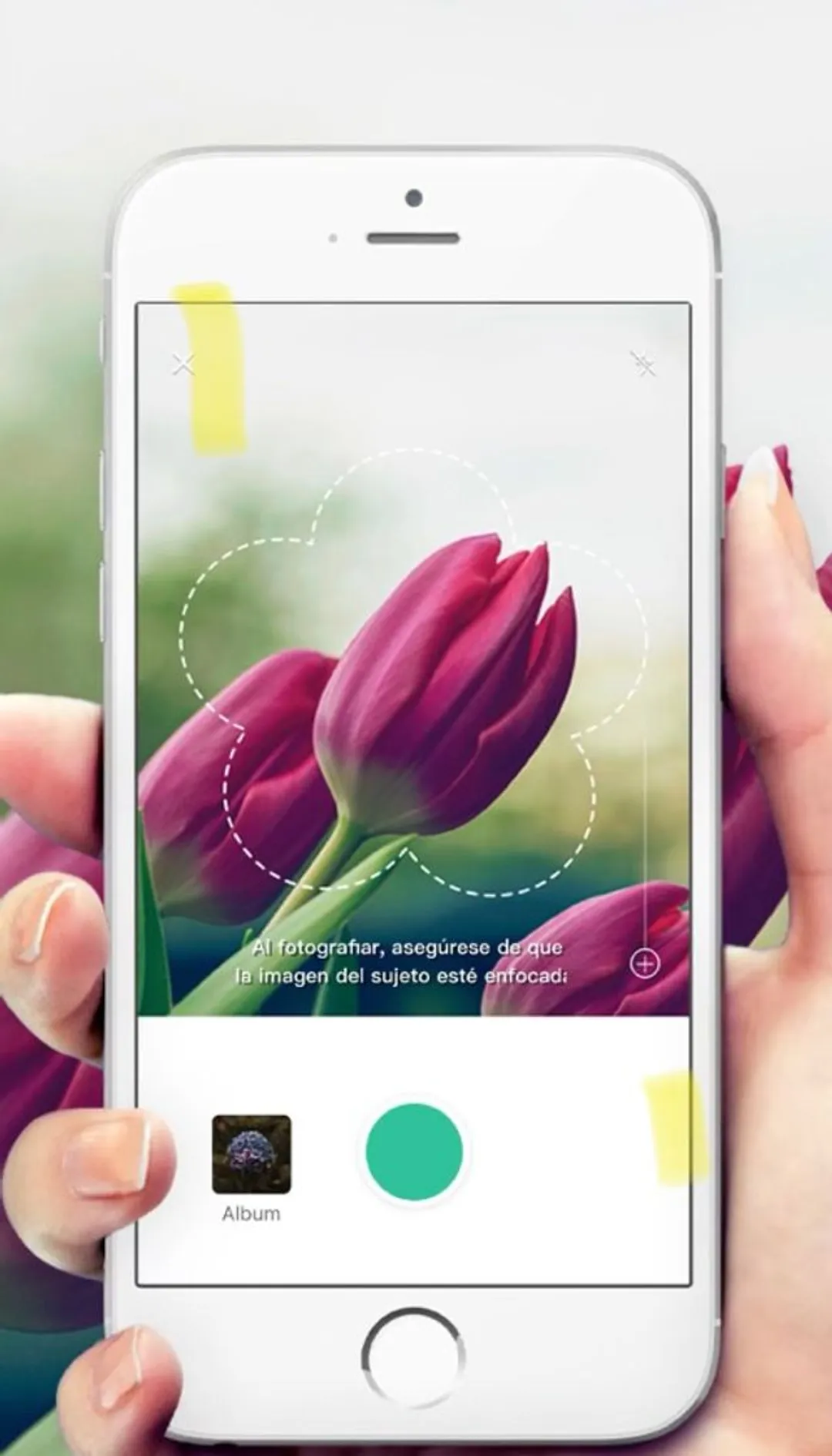 PictureThis - Plant Identifier on the App Store