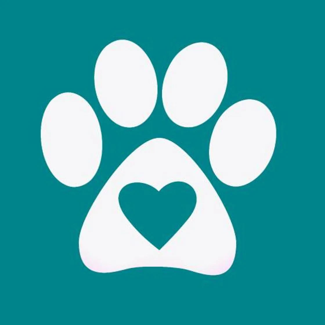 Chuby - adopta un perro, gato y más mascotas!