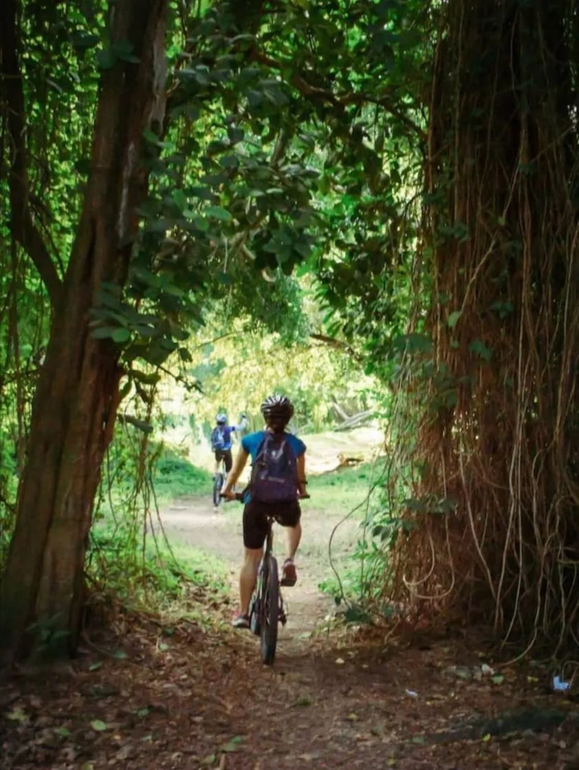 En Bici por La Habana con guías