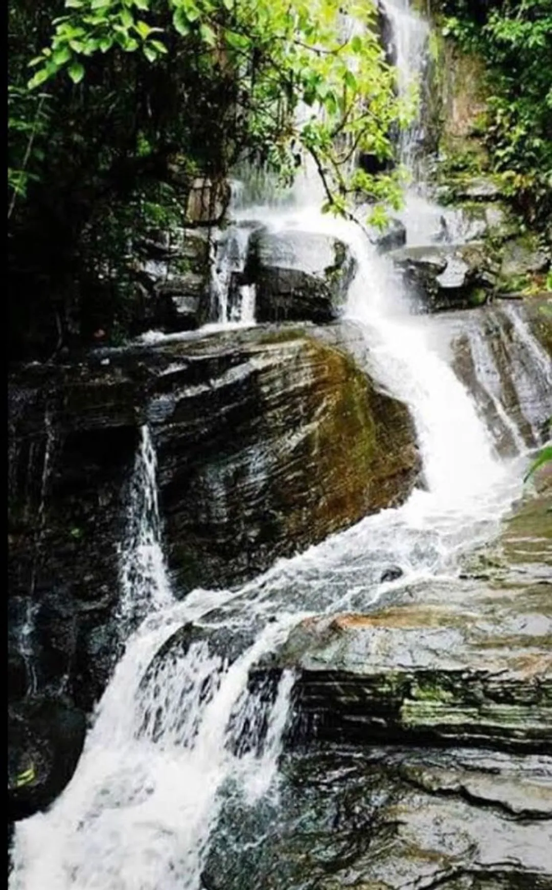 cachoeira do búfalo