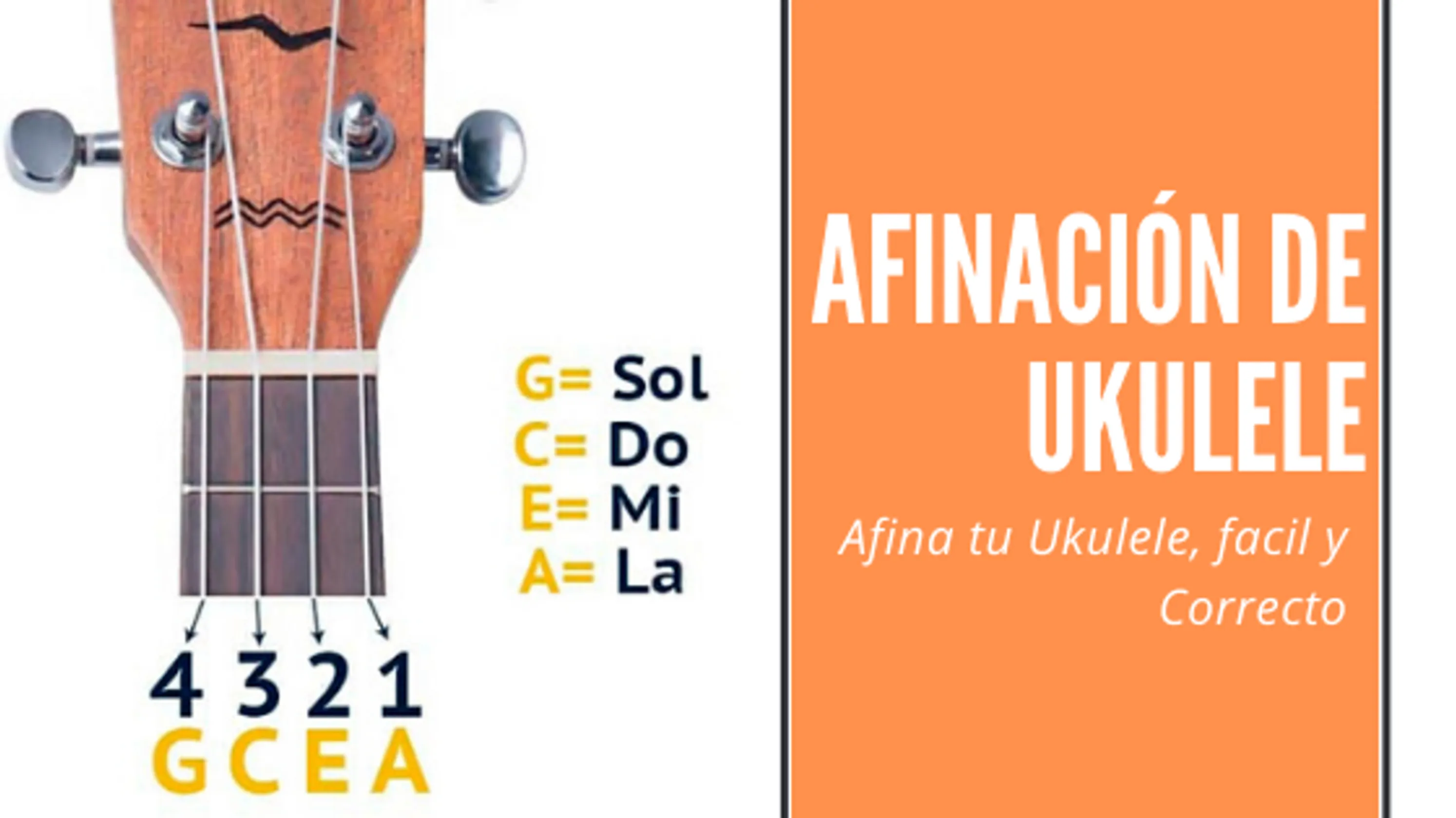 Aprende a tocar ukele. Afinador e instructor