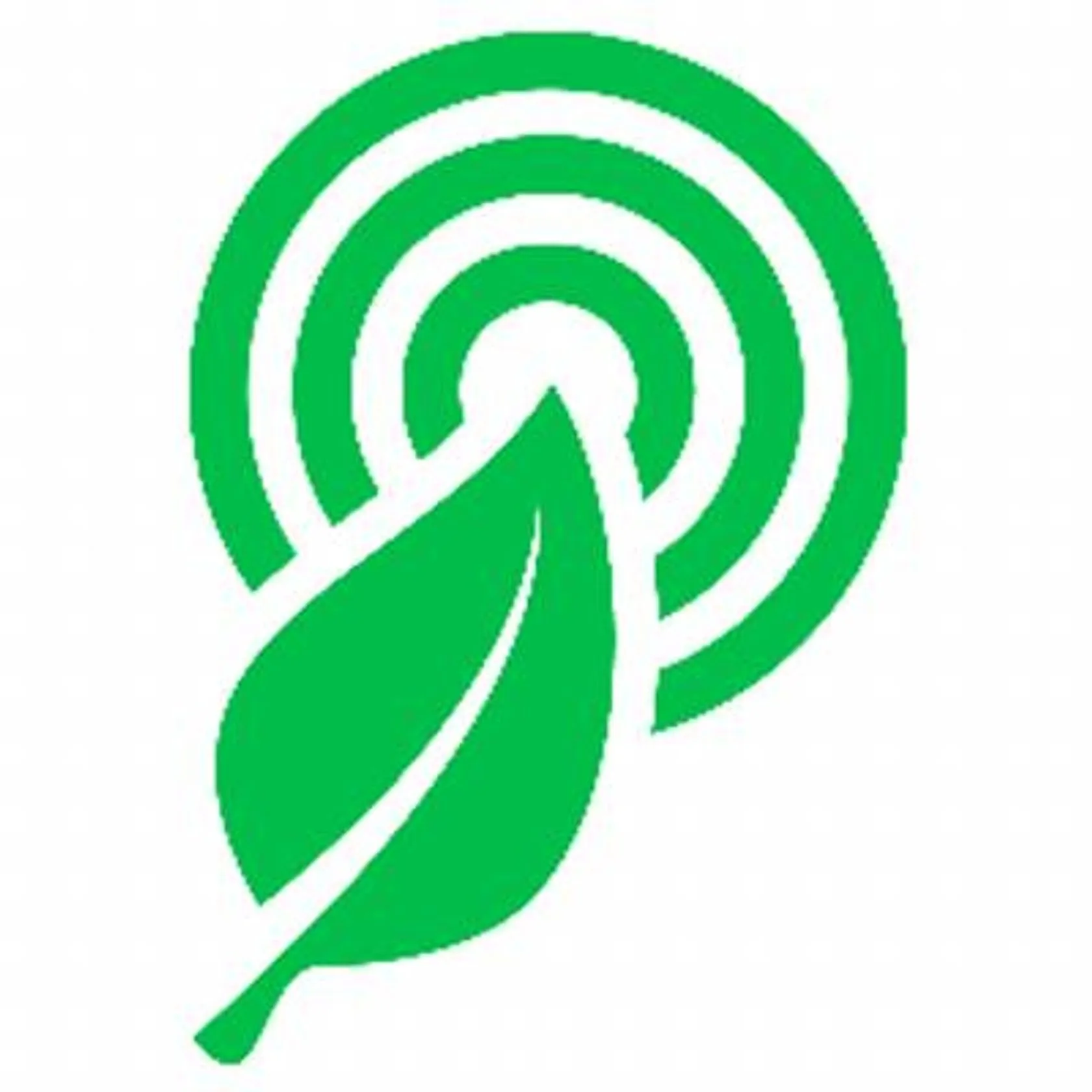 Rainforest Connection