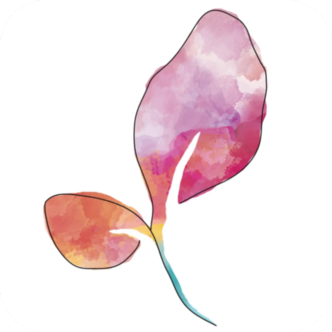 Calendario menstrual Paula: ciclo y periodo fértil