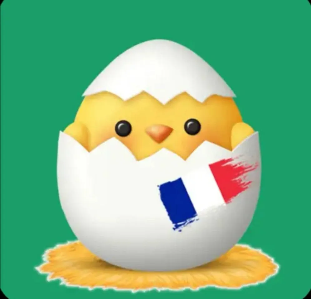 Chick - Francés